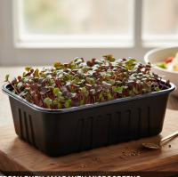 Живая микрозелень амарант Рубин (под заказ)