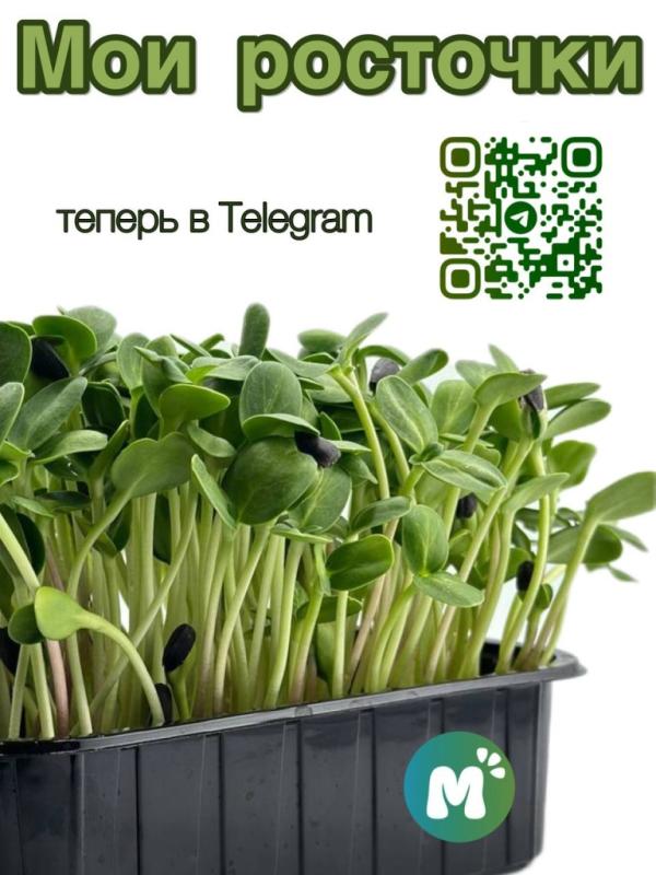 «Мои Росточки» теперь в телеграм!